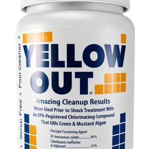 Coral Seas Algae Remover Granular Pool Chlorine Cleaner-0