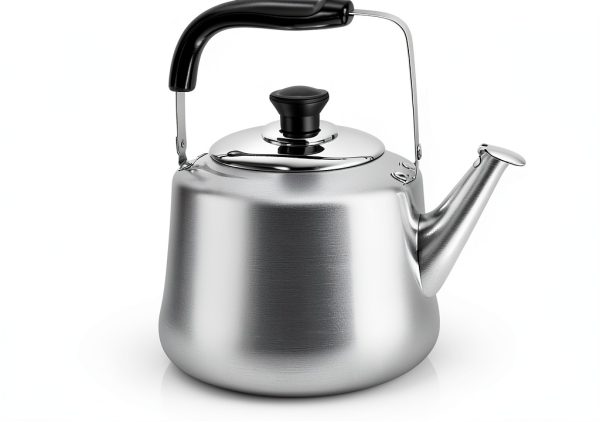 Odoland Camping Tea Kettle Stainless Steel 4L Dishwasher-0